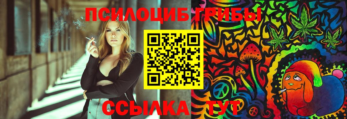 Псилоцибиновые грибы Magic Shrooms  Вход с VPN  Ишимбай  Псилоцибиновые грибы Psilocybe 